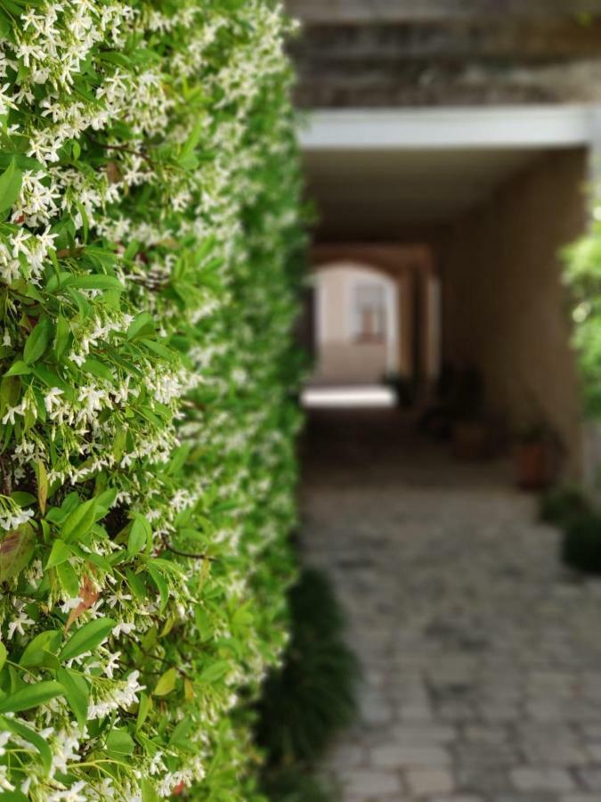 Coliving Add Livitum Hotel Ciutadella  Buitenkant foto